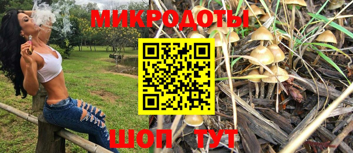 Псилоцибиновые грибы Psilocybe  Вход с VPN  Нижний Новгород 