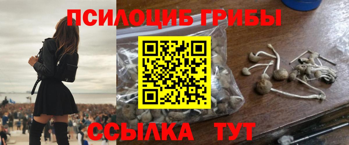 Галлюциногенные грибы Cubensis Нижний Новгород